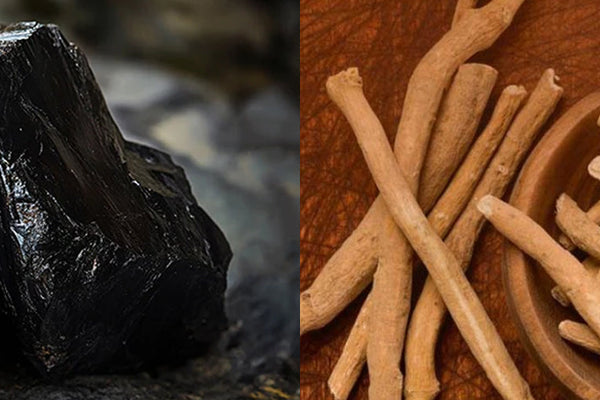 How To Use Ashwagandha And Shilajit Together To Boost Strength And Overall Health?